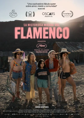 La misteriosa mirada del flamenco film poster image