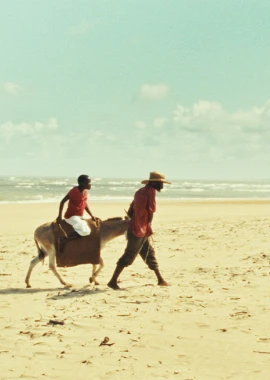 Baada Ya Masika film poster image