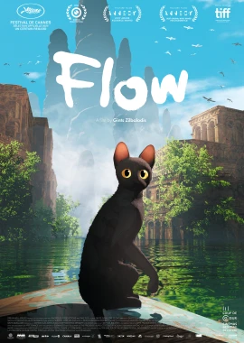 Flow film poster image