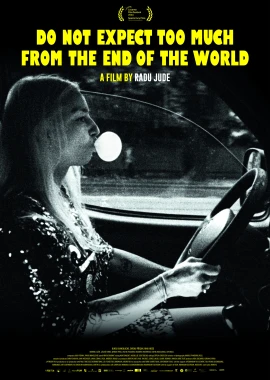 Do Not Expect Too Much from the End of the World film poster image