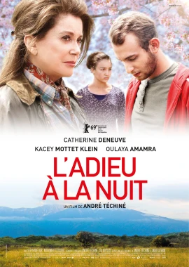 L'adieu à la nuit film poster image