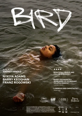 Bird film poster image