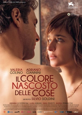 Il Colore nascosto delle Cose film poster image