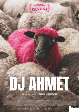 DJ Ahmet film poster image