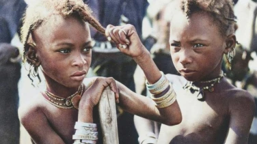 Henry Brandt en Afrique film trailer button