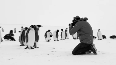 Antarctica Calling film trailer button