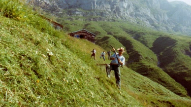 Das Erbe der Bergler (Restaurierte Fassung) film trailer button