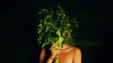Smoke Sauna Sisterhood film trailer button