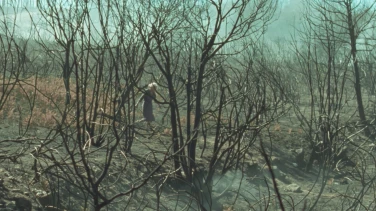 O que arde film trailer button