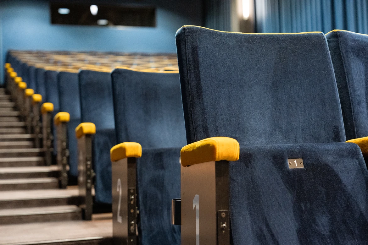 Bourbaki cinema hall view