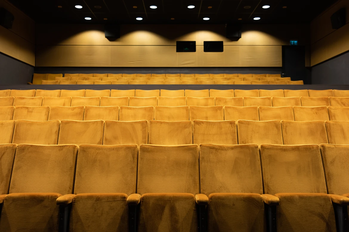 Bourbaki cinema hall view