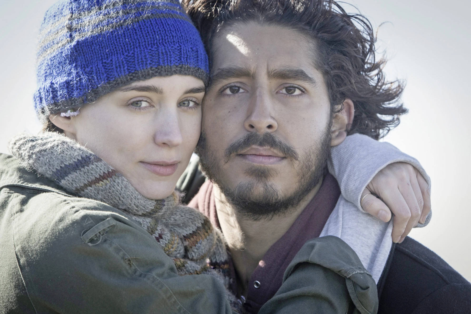 Lion hero banner image placeholder