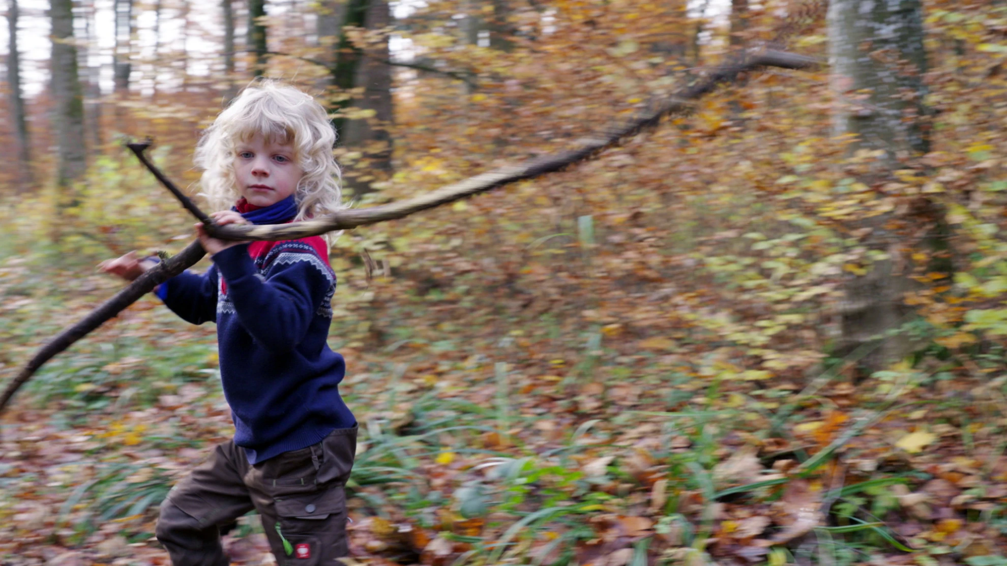 Von Kindern und Bäumen – Ein Jahr in der Waldschule hero banner image placeholder