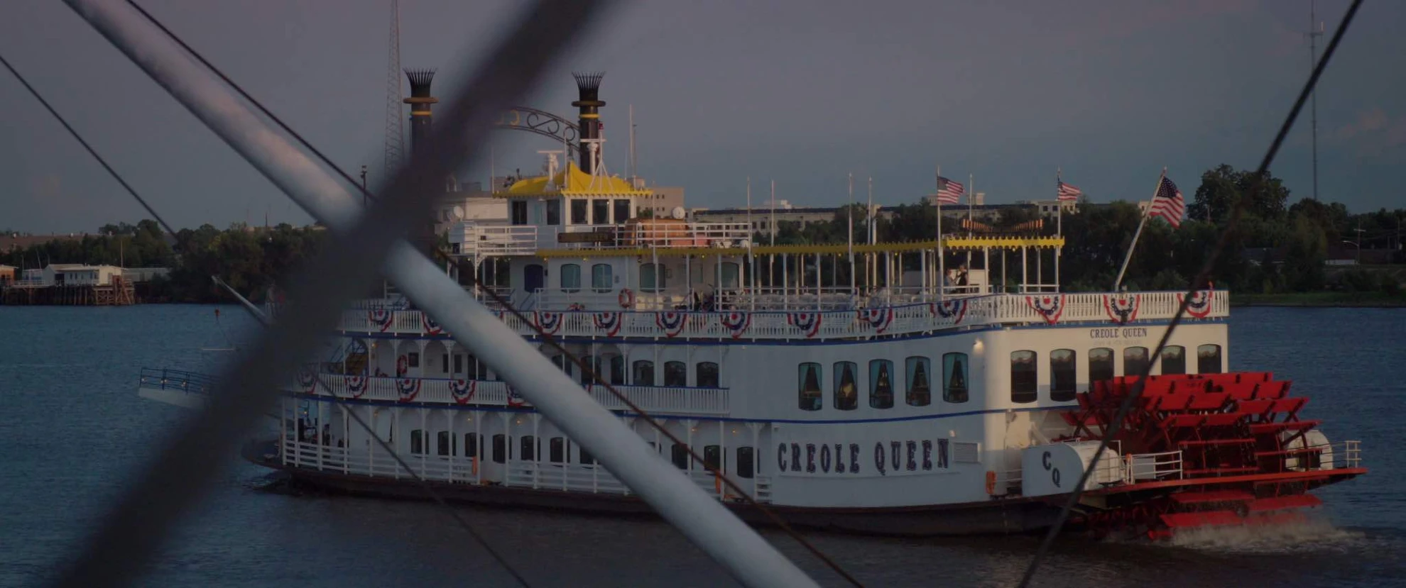 Birds of America hero banner image placeholder