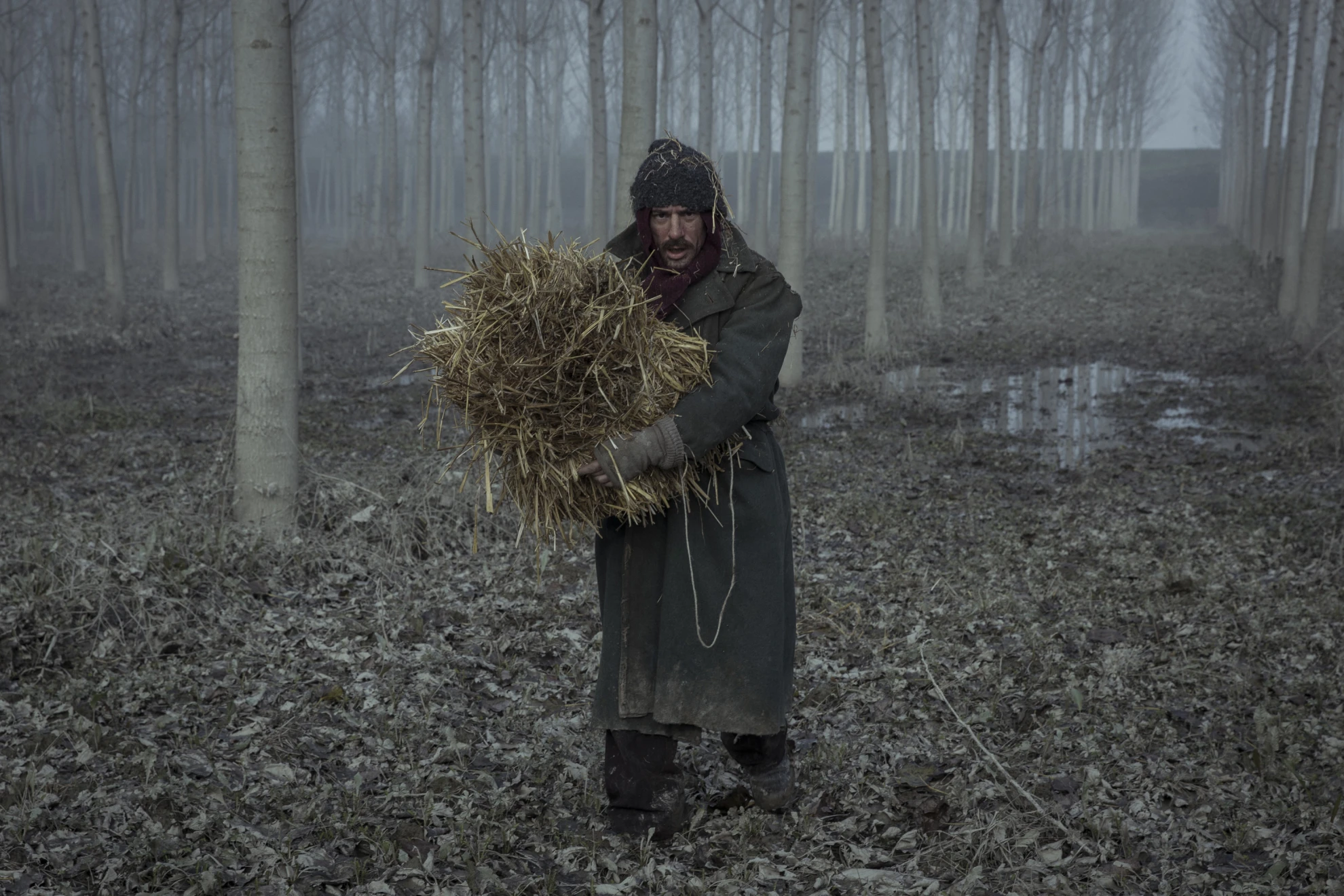 Volevo Nascondermi hero banner image placeholder