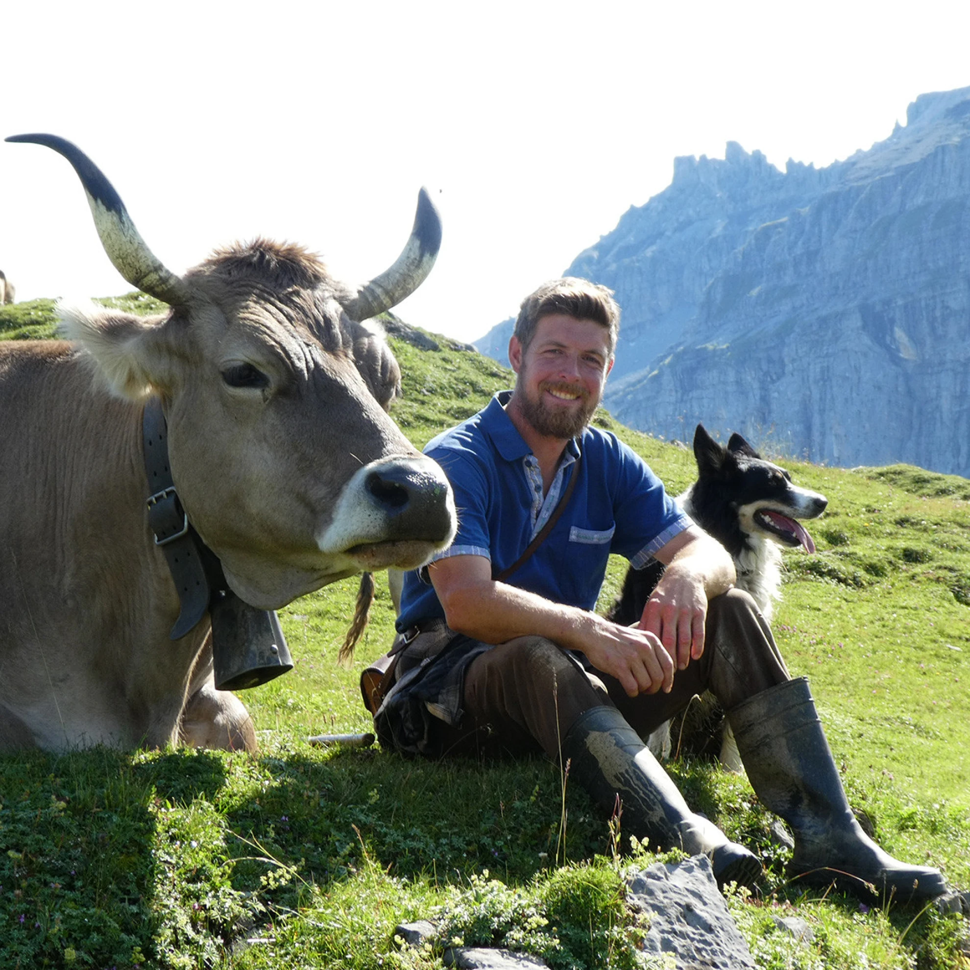 Von der Alp auf die Musicalbühne hero banner image