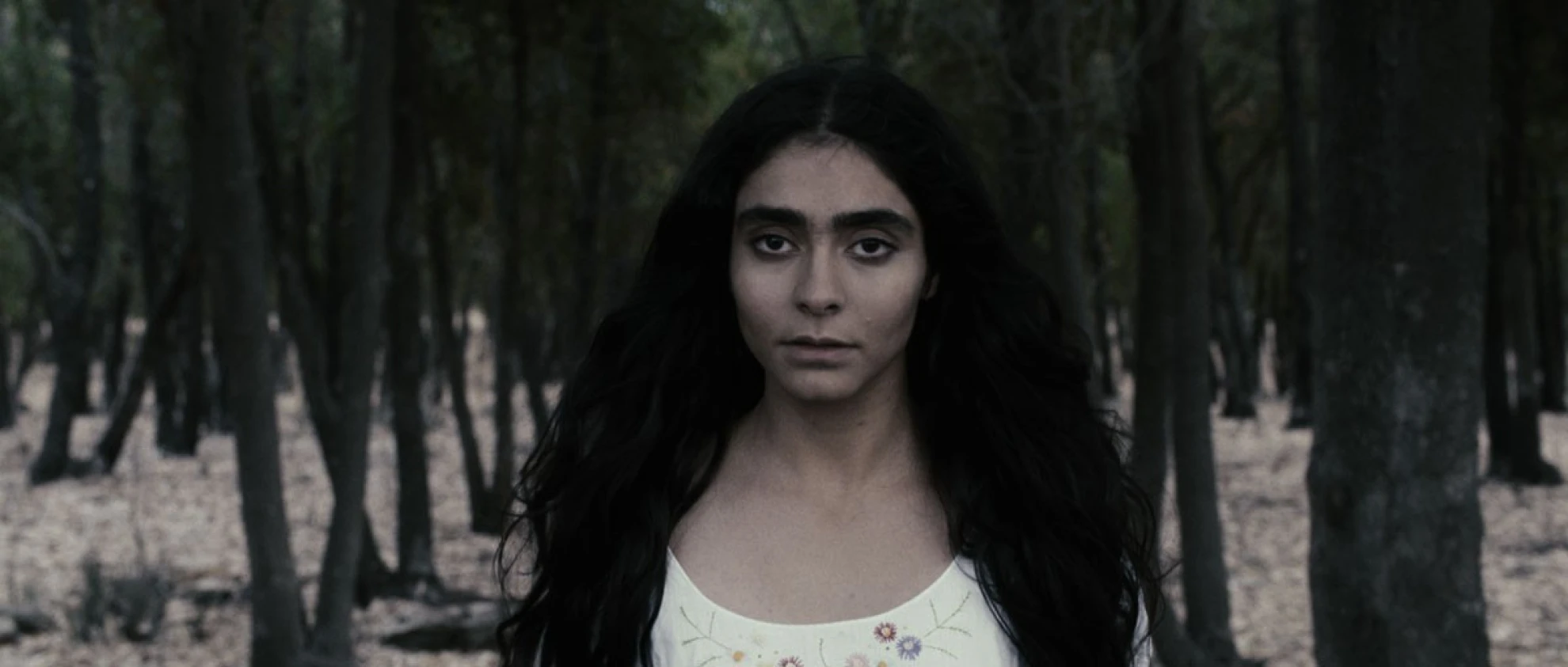 Women Without Men hero banner image placeholder