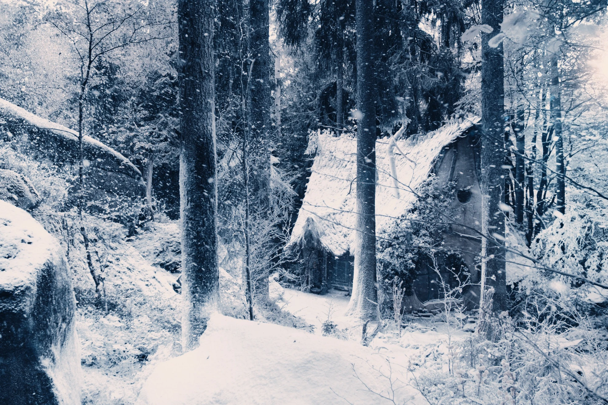 Di chli Häx hero banner image placeholder