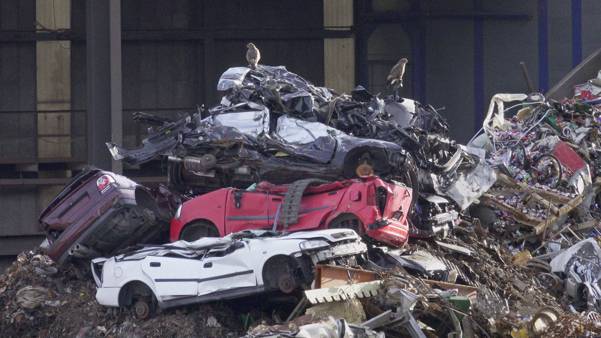 Welcome to Zwitscherland hero banner image placeholder