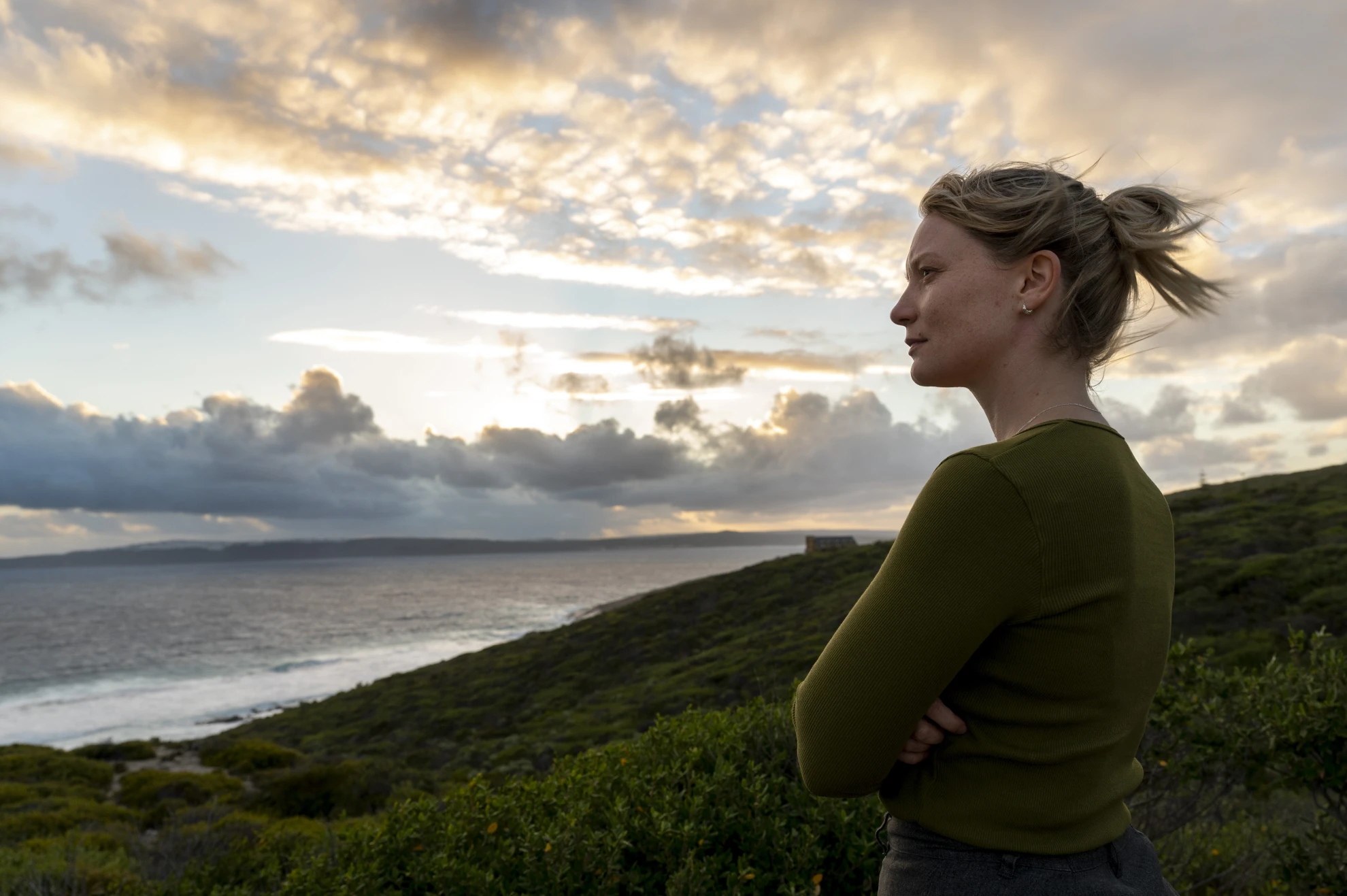 Blueback hero banner image placeholder