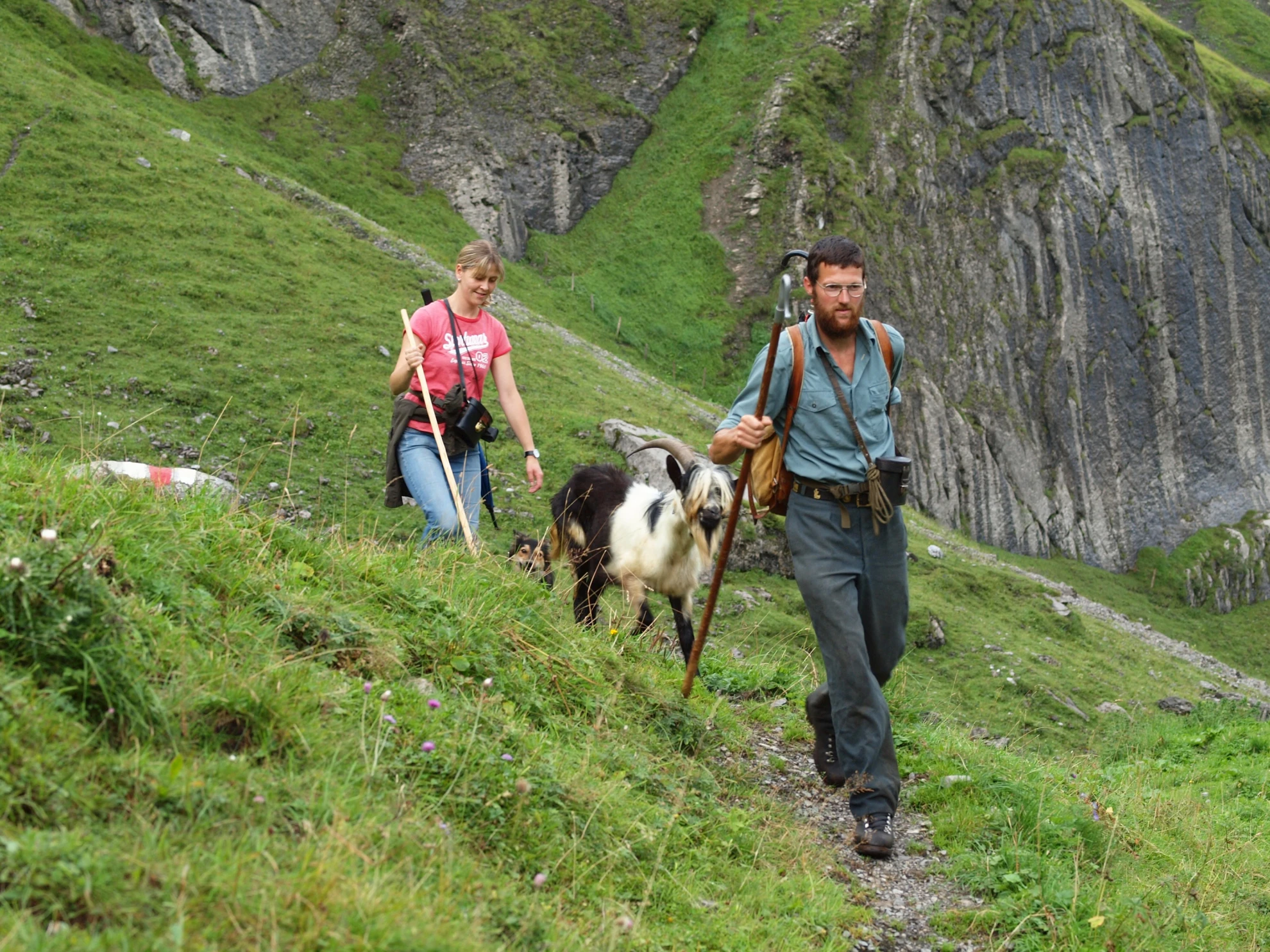 Alpsummer hero banner image placeholder