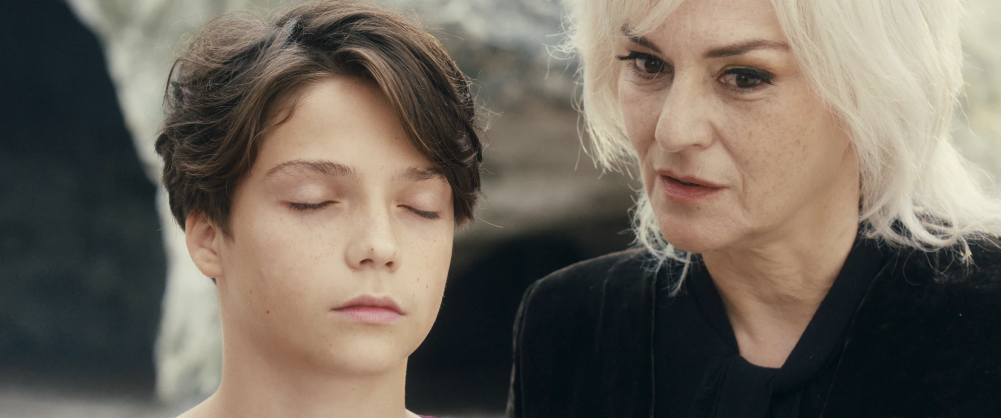 Woodwalkers hero banner image placeholder