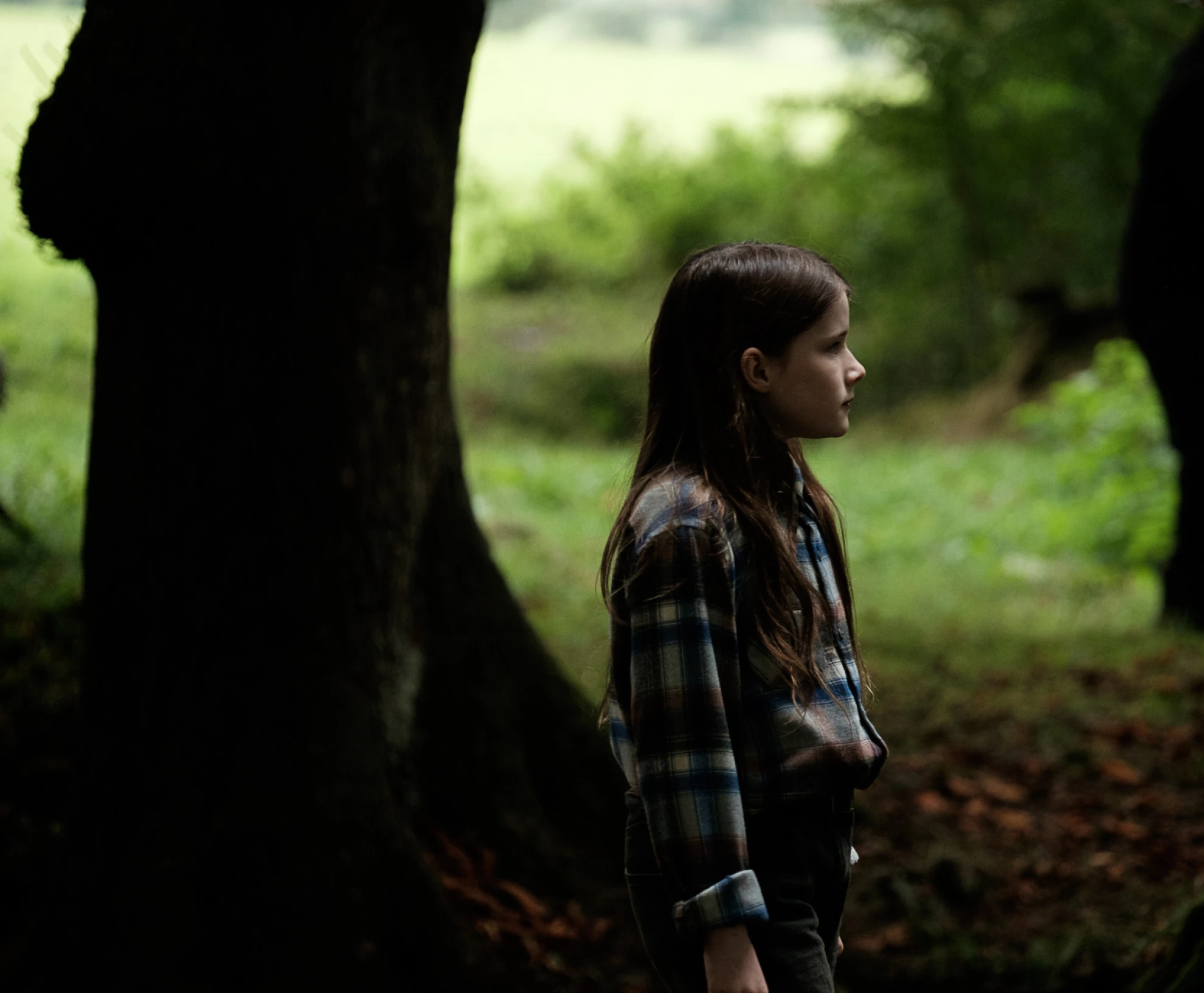 The Quiet Girl hero banner image placeholder