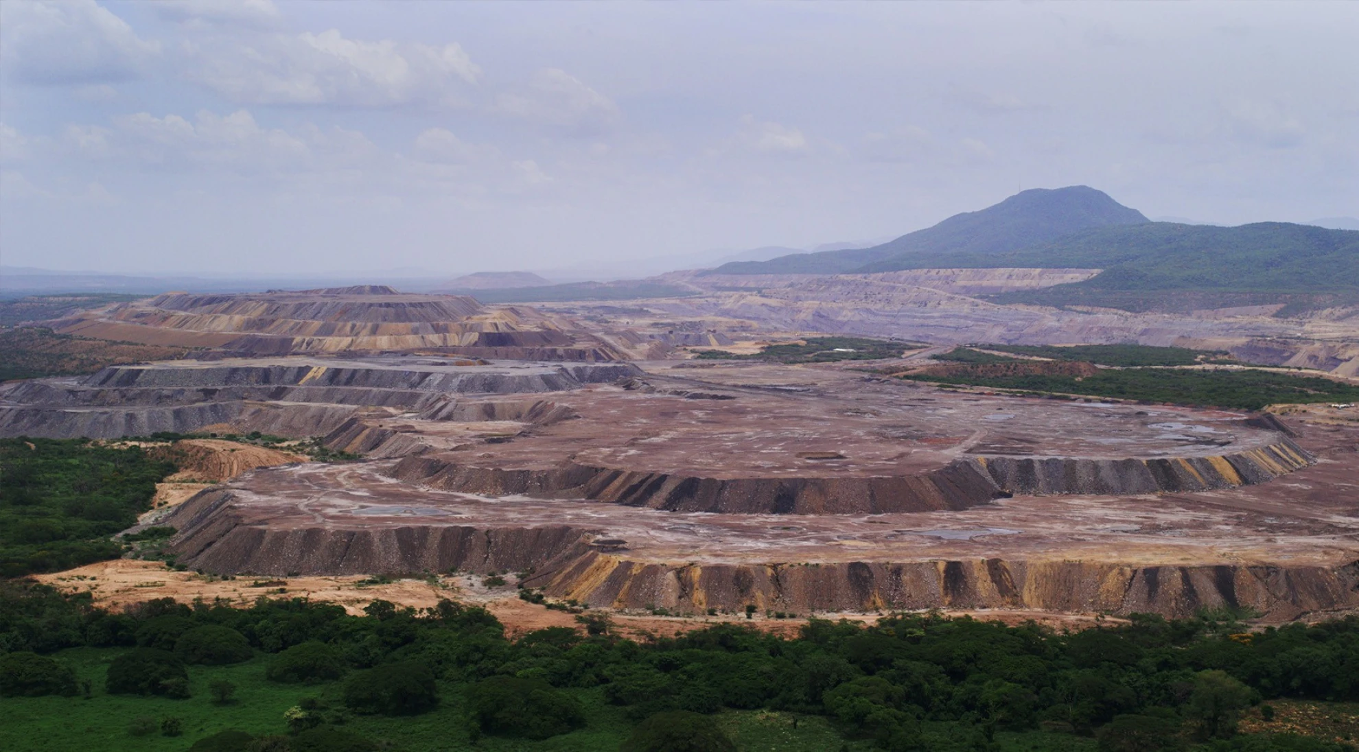 La buena vida hero banner image placeholder