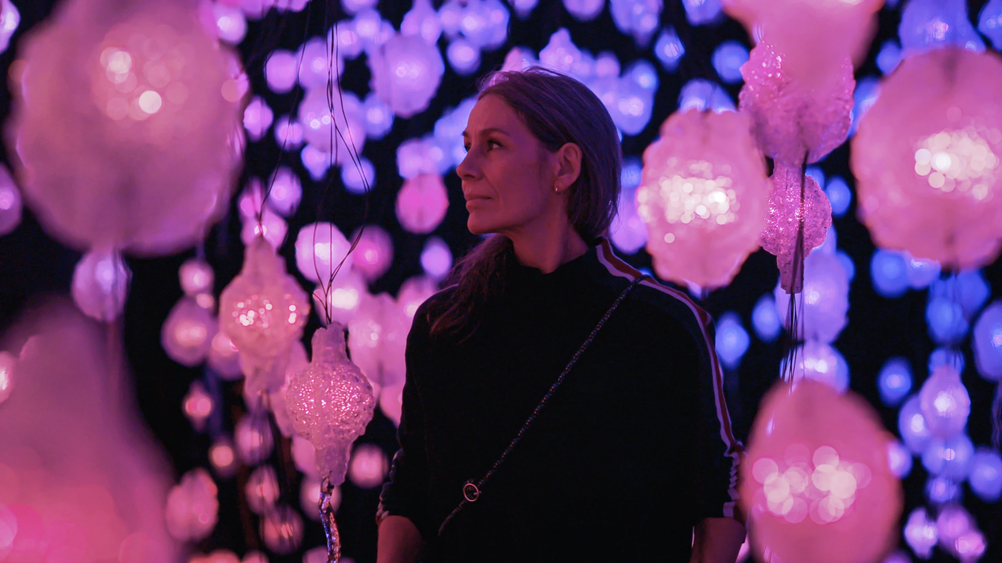 Wisdom of Happiness - A heart-to-heart with the Dalai Lama hero banner image placeholder