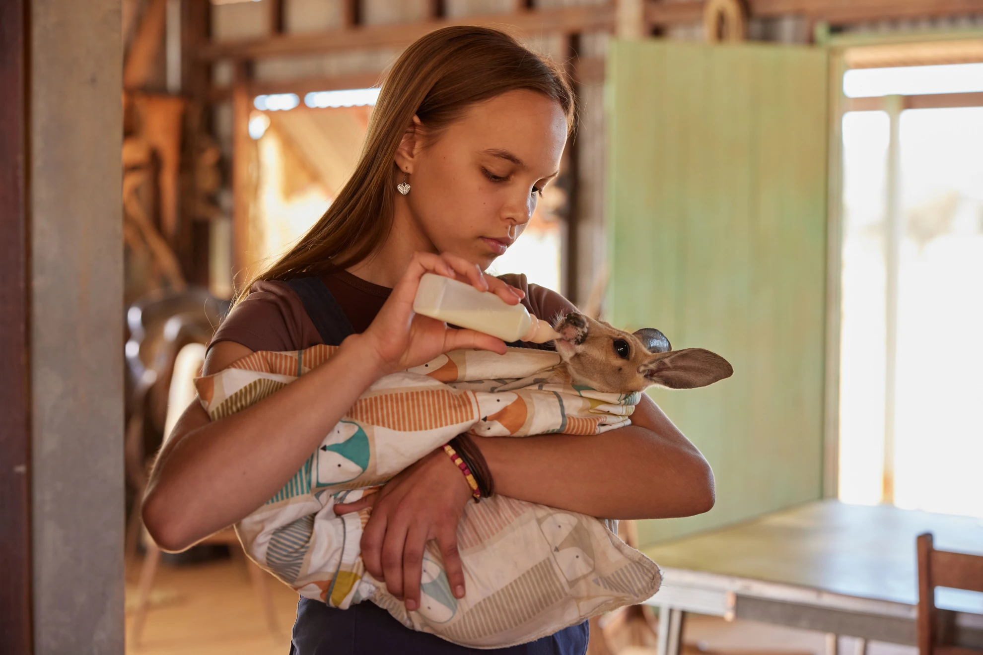 Lilly und die Kängurus hero banner image placeholder