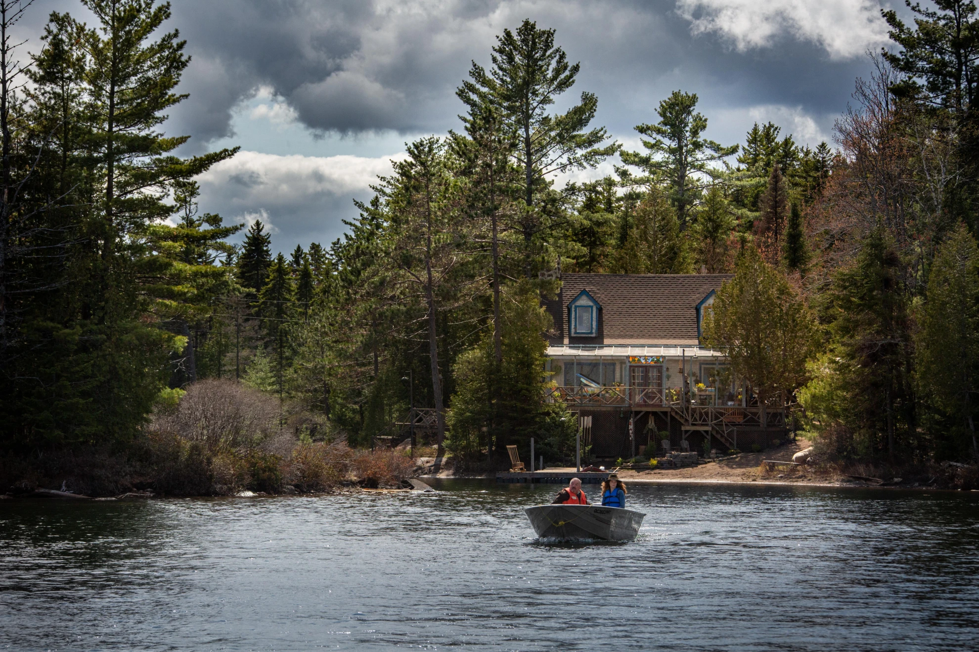 The Wolf and the Lion hero banner image placeholder