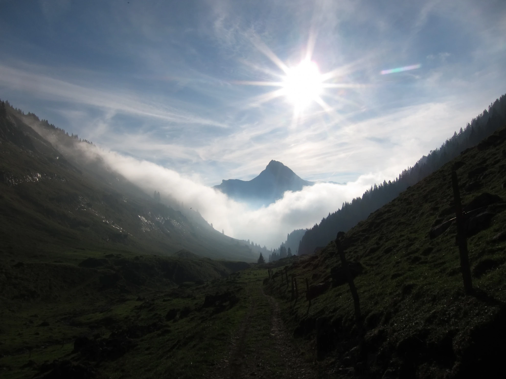 Alpsummer hero banner image placeholder