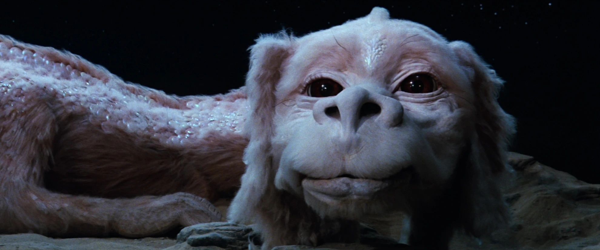 Die unendliche Geschichte hero banner image placeholder