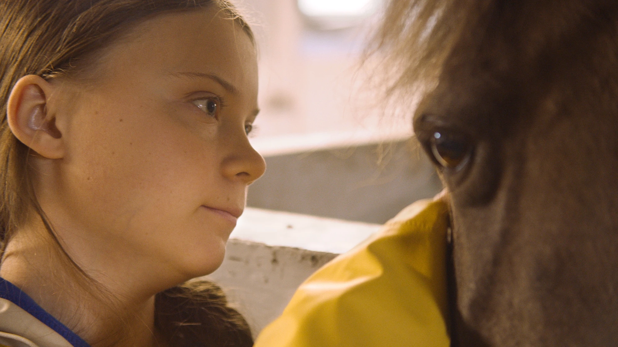 I am Greta hero banner image placeholder