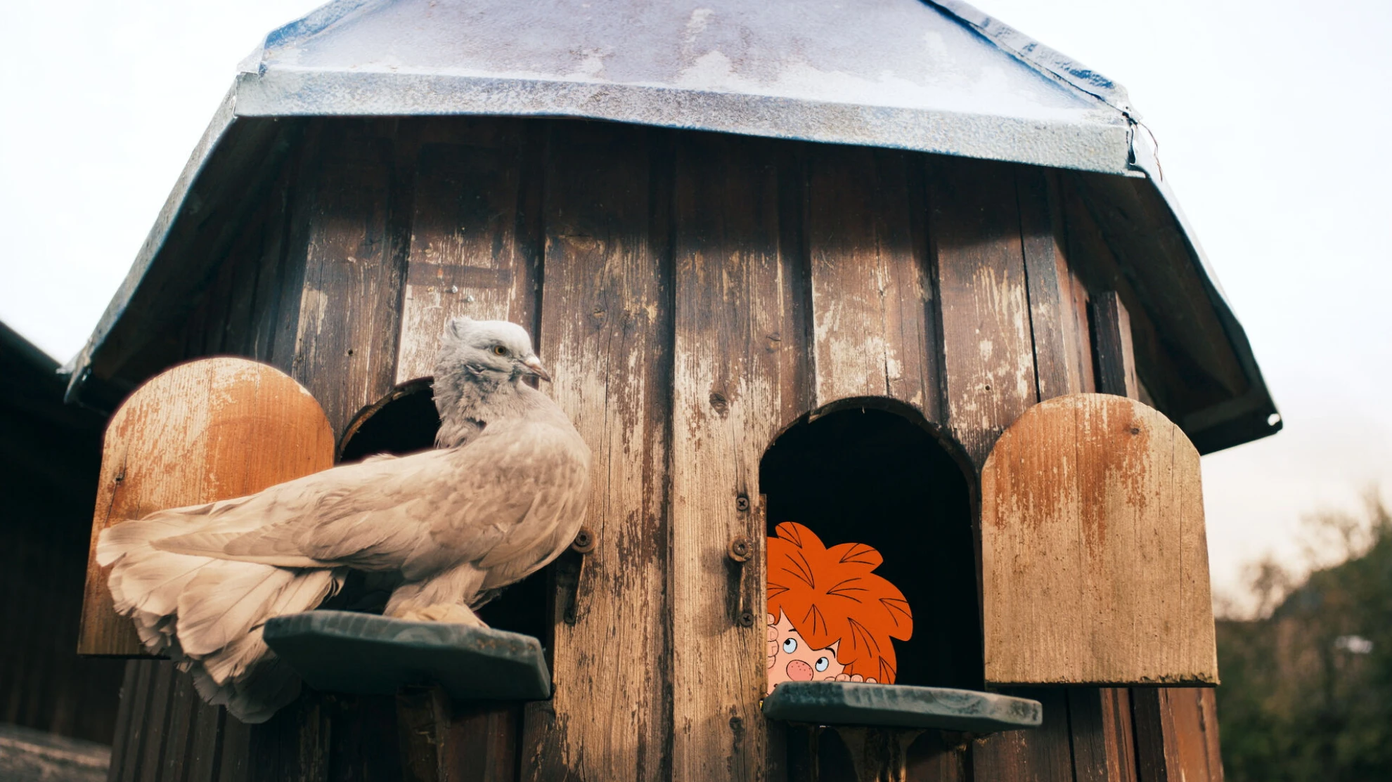 Pumuckl und das grosse Missverständnis hero banner image placeholder