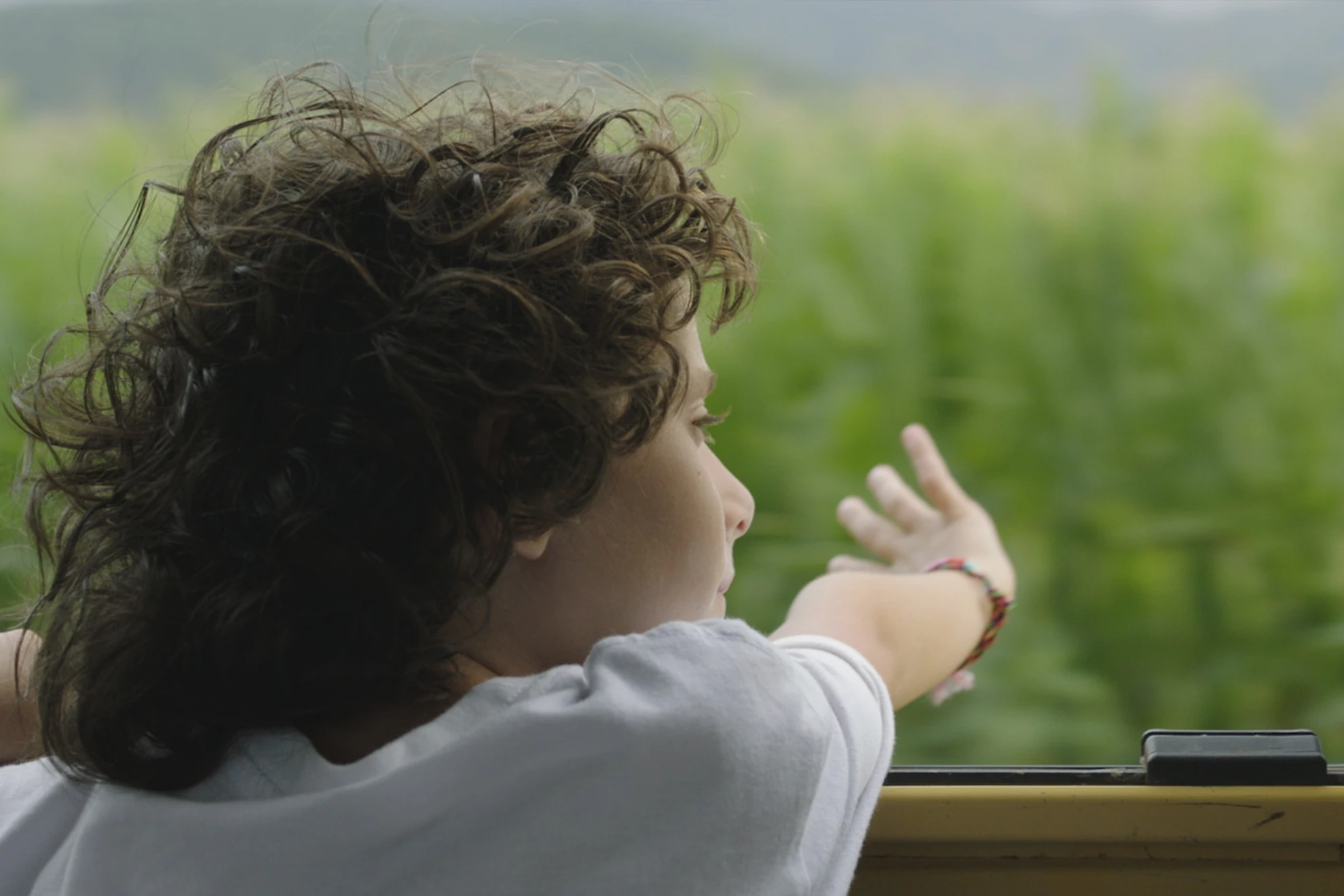 Estiu 1993 hero banner image placeholder