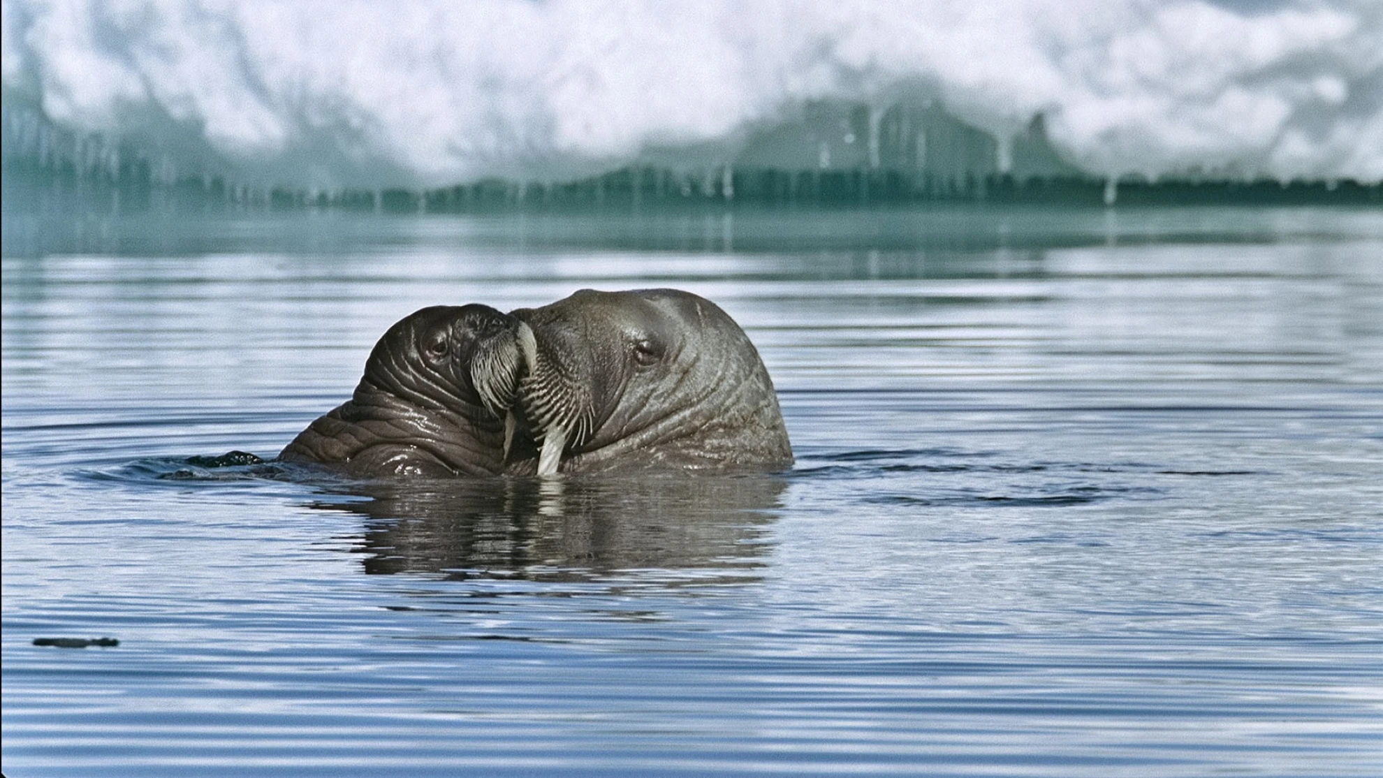 Unsere Ozeane hero banner image placeholder