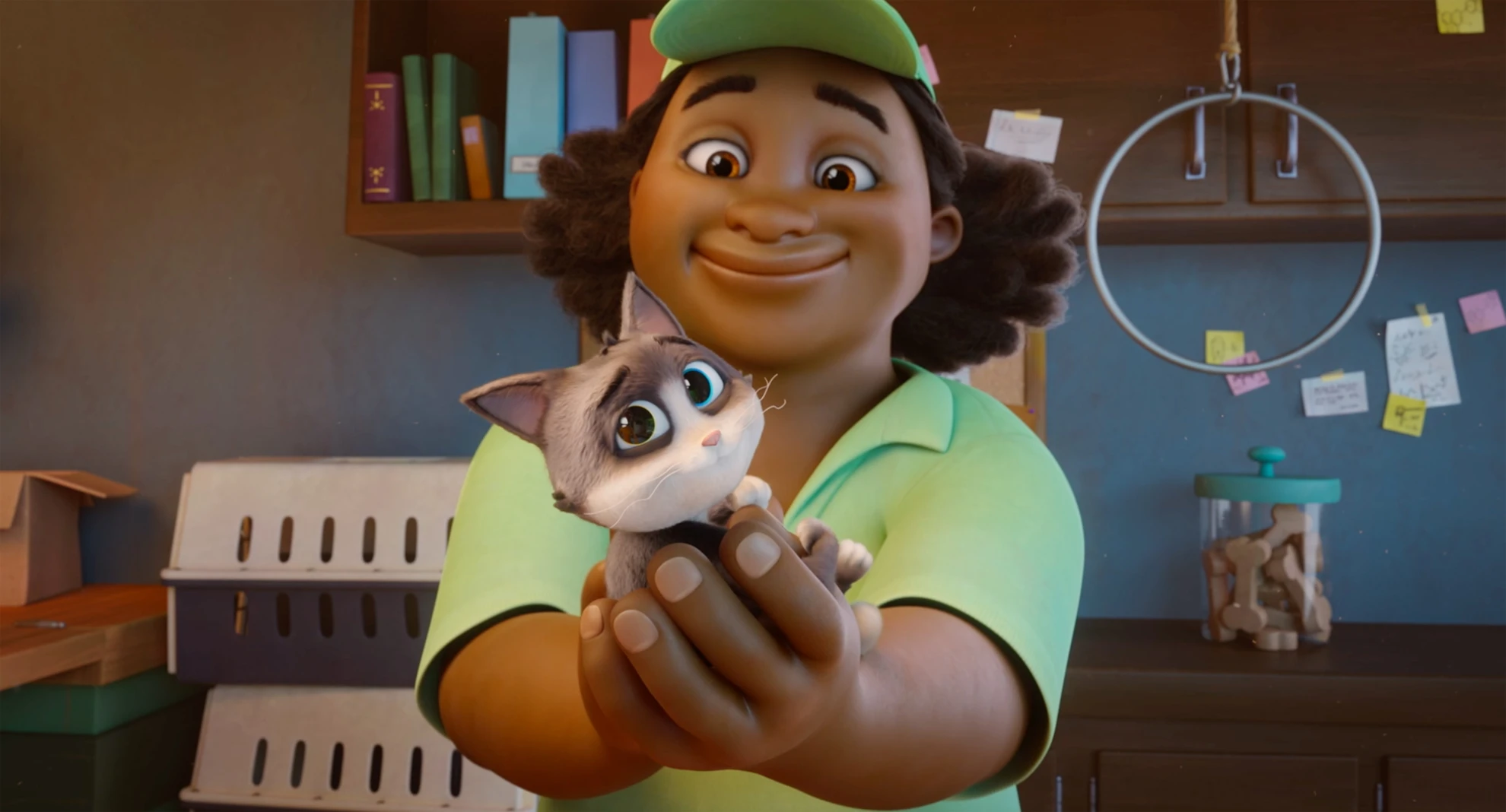 Alles für die Katz hero banner image placeholder