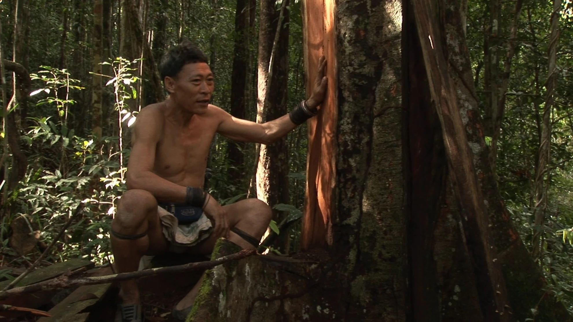 Bruno Manser - Laki Penan hero banner image placeholder