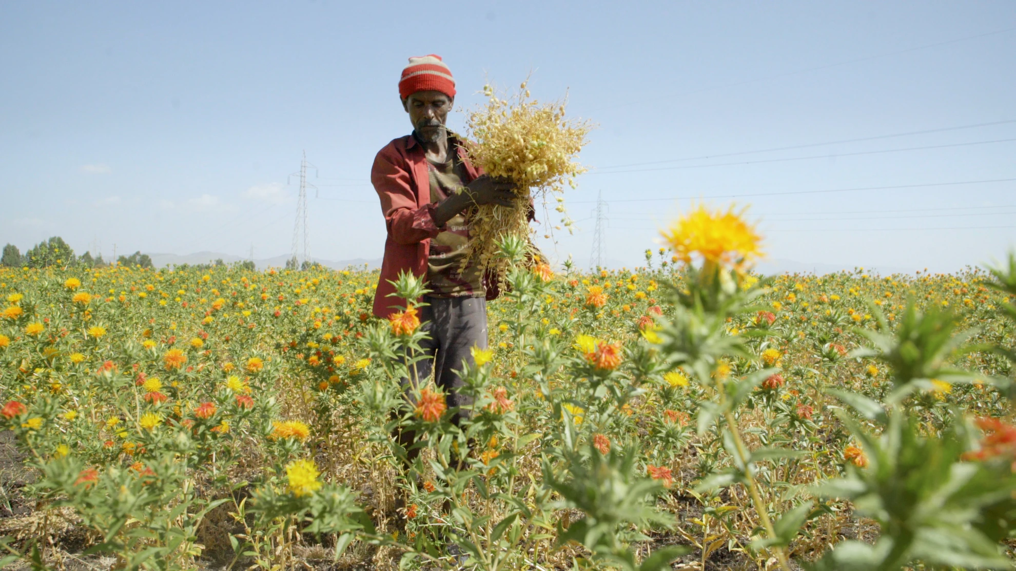 Urban Genesis hero banner image placeholder