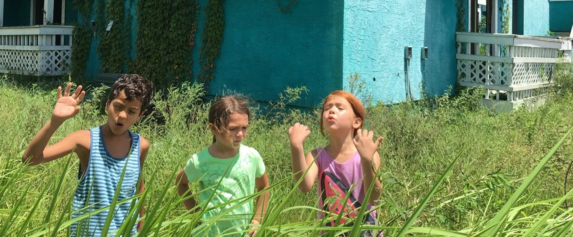 The Florida Project hero banner image placeholder