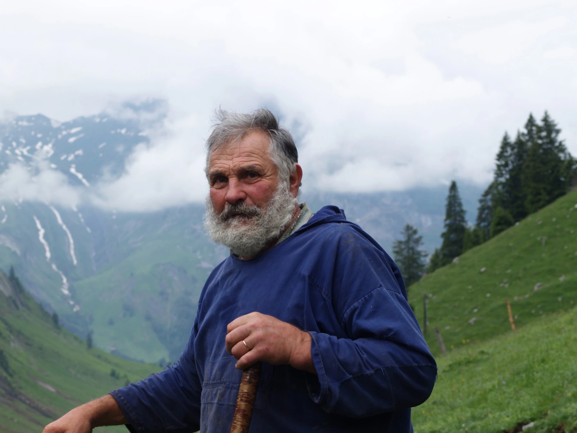 Alpsummer hero banner image placeholder