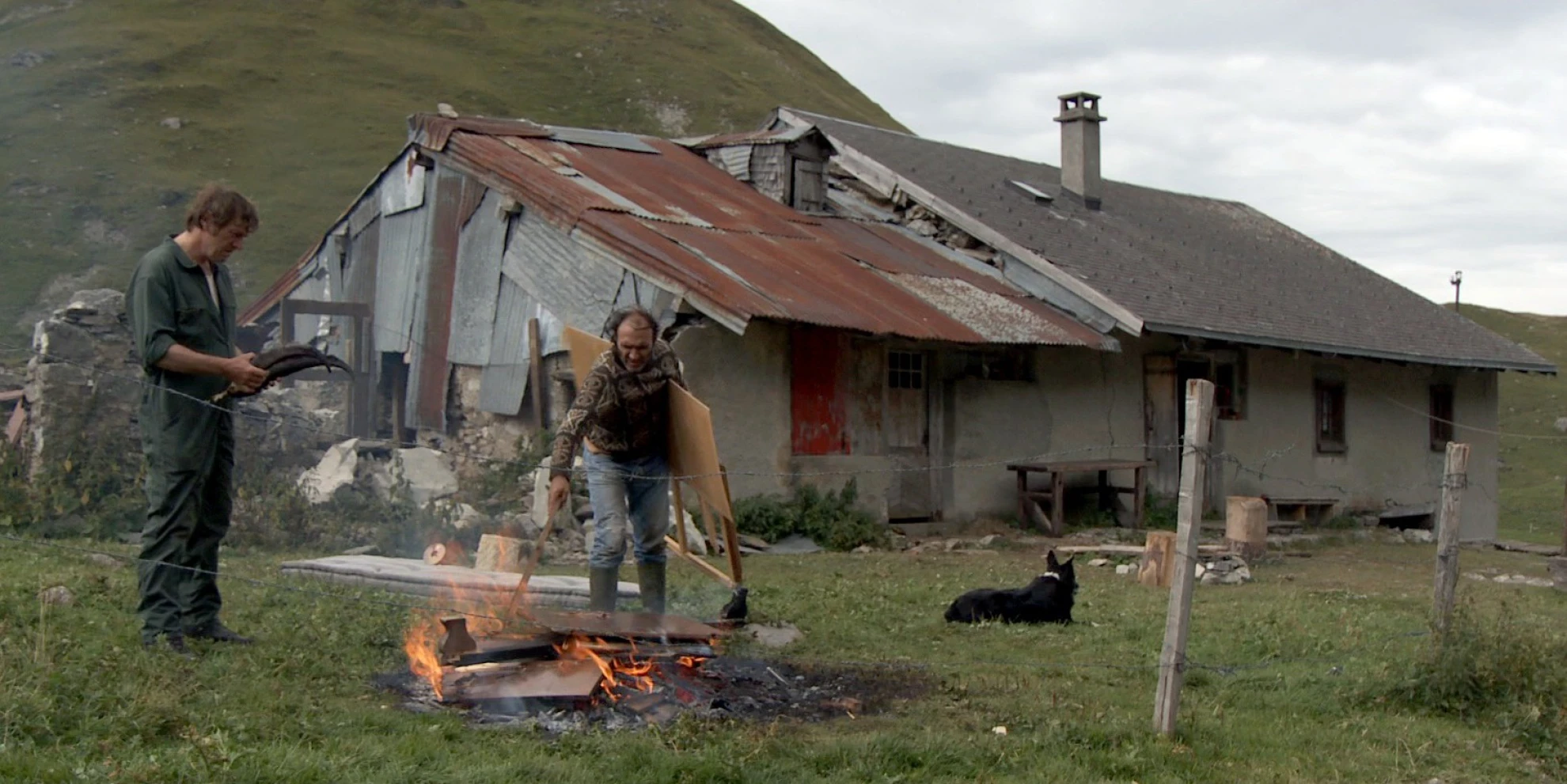 Coeur animal hero banner image placeholder