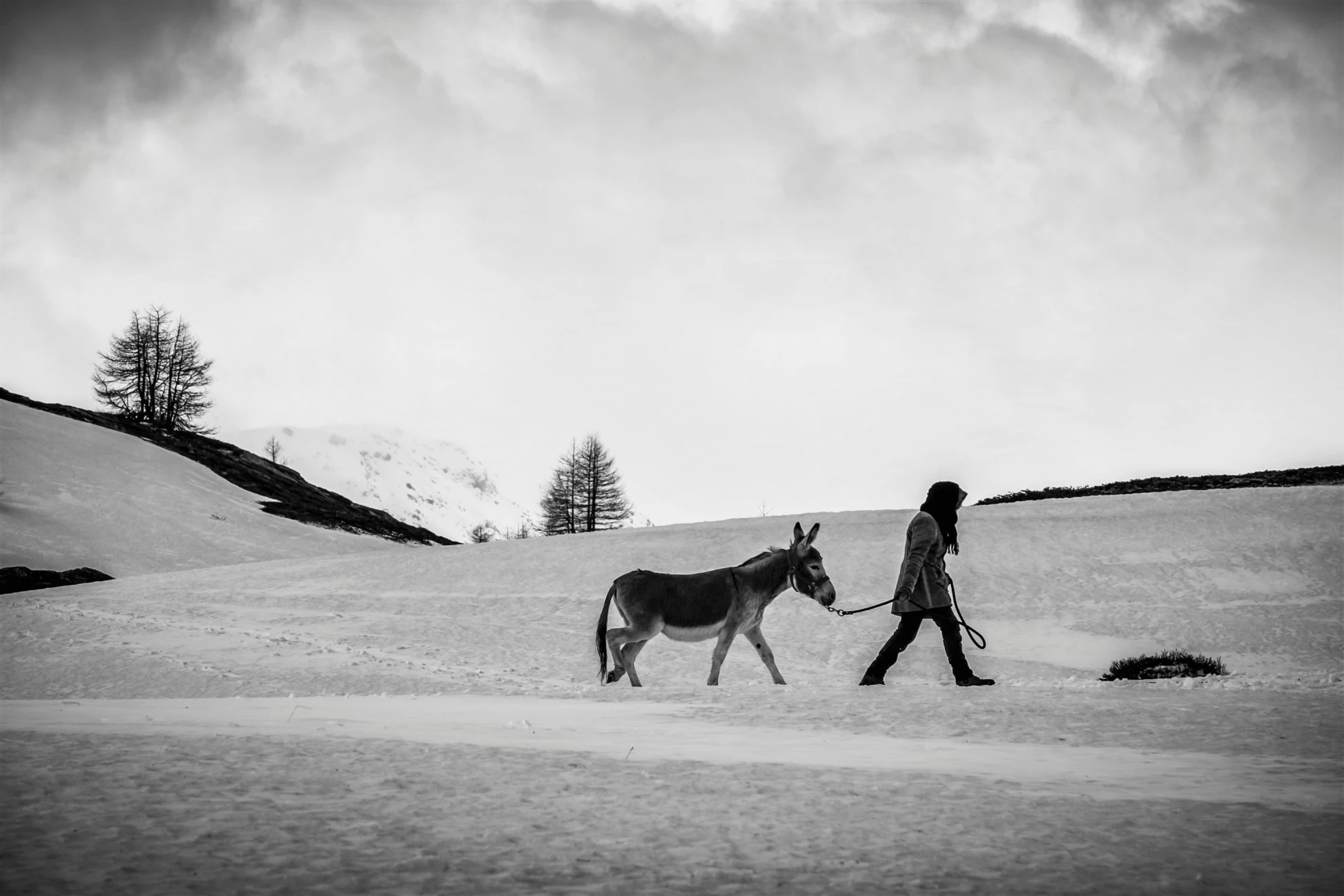 Fortuna hero banner image placeholder