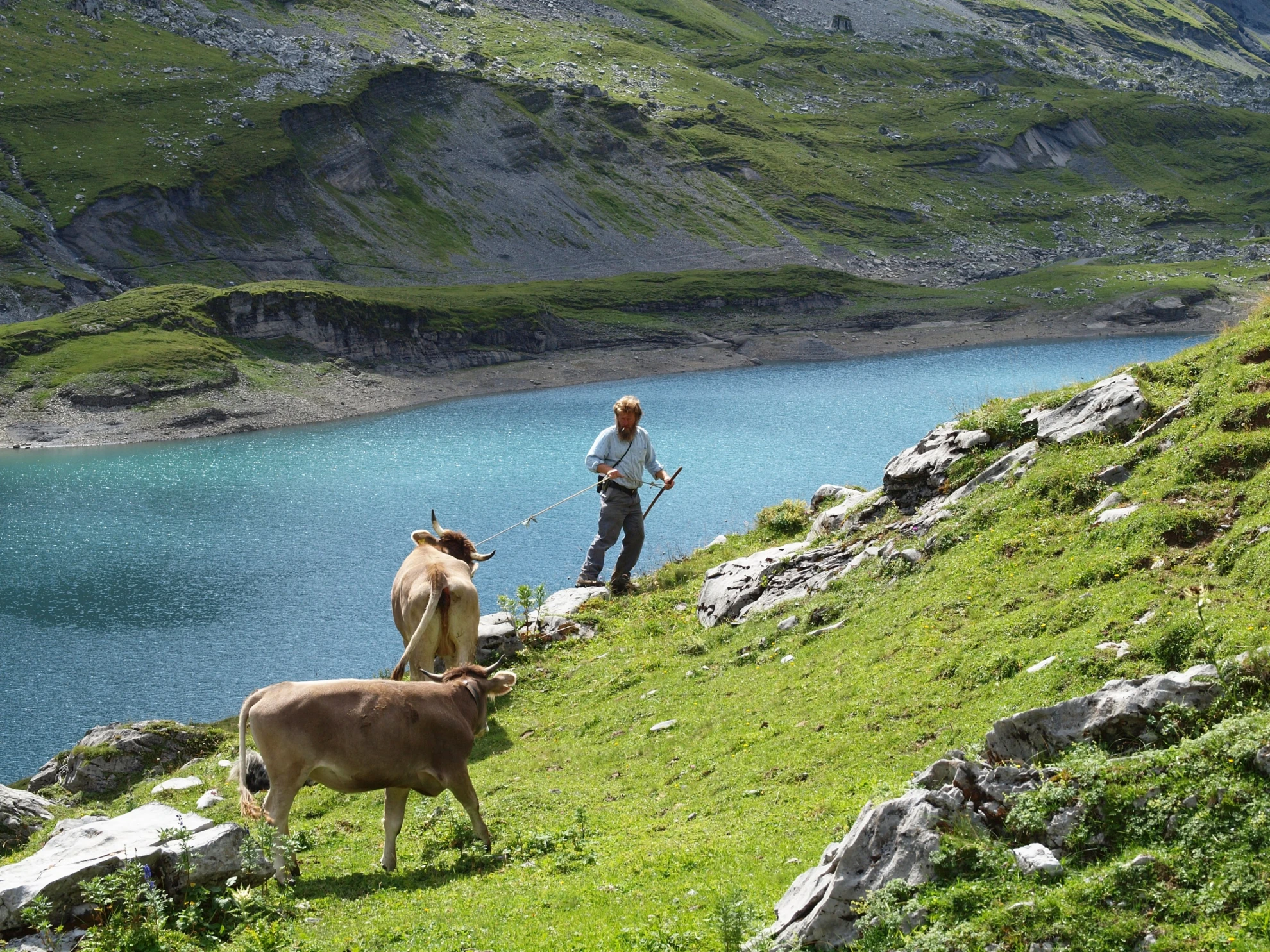 Alpsummer hero banner image placeholder