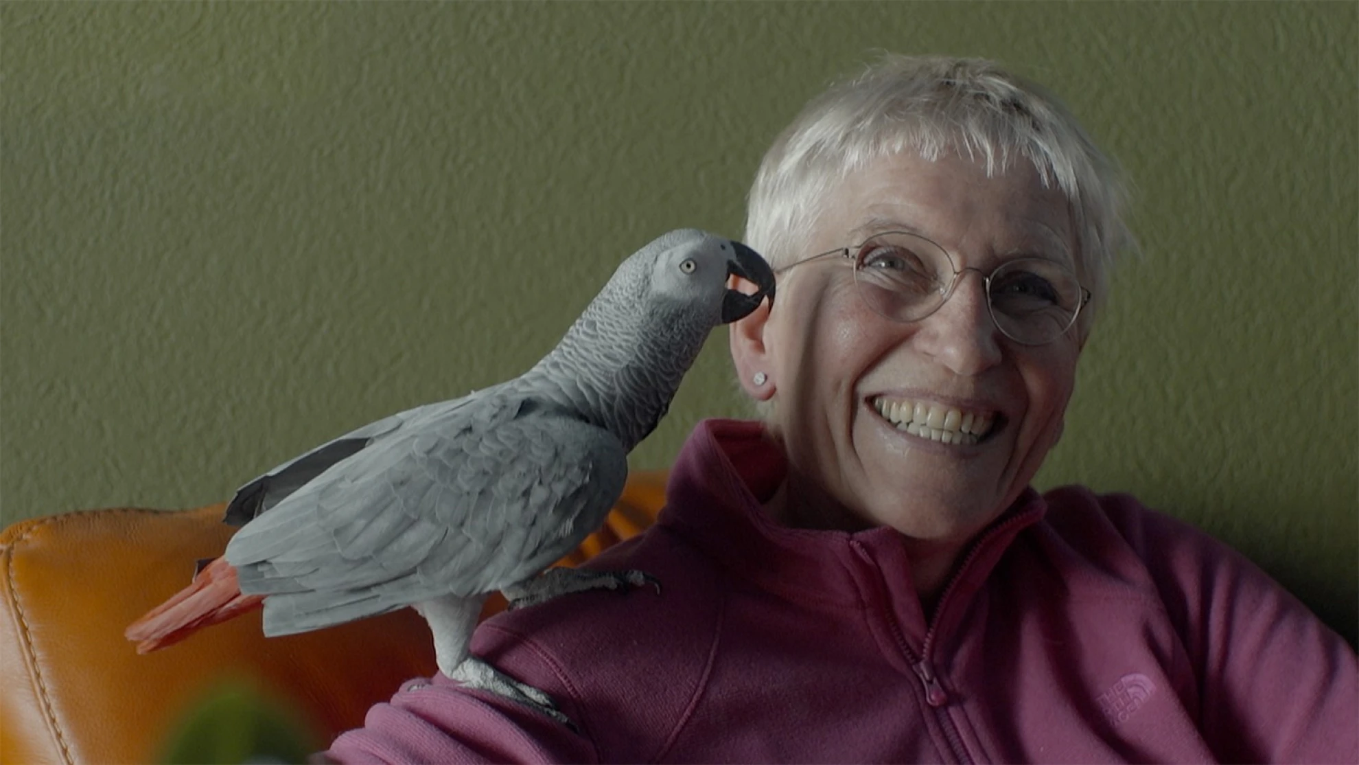 Les Dames hero banner image placeholder