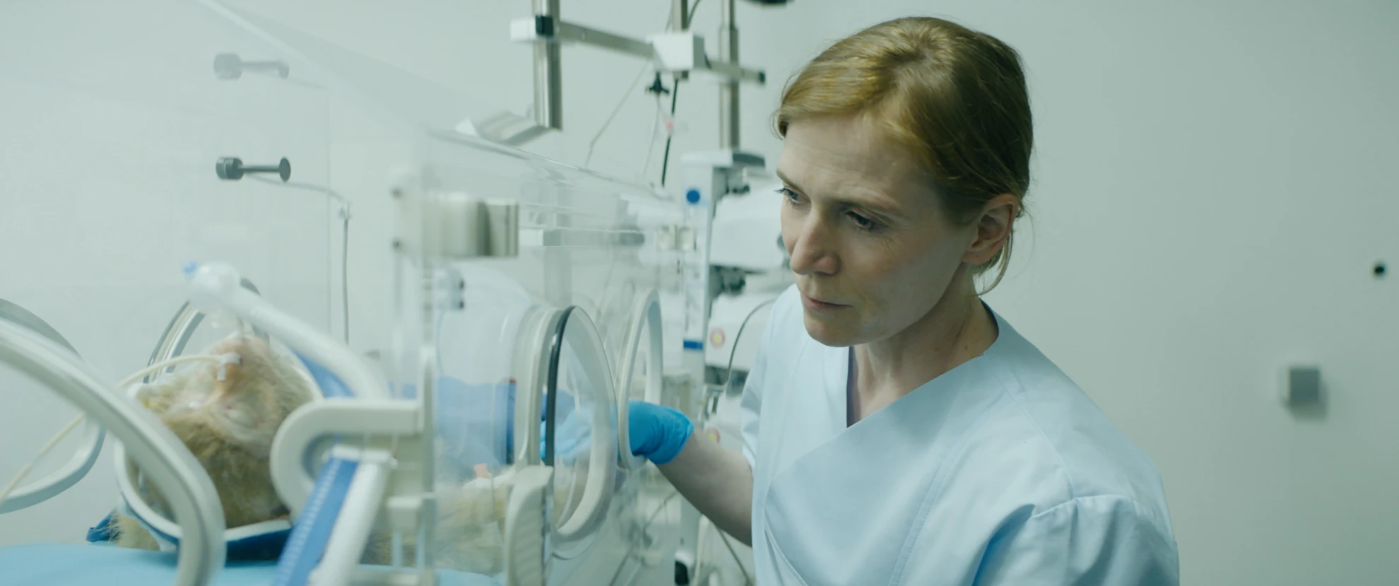 Der Unschuldige hero banner image placeholder