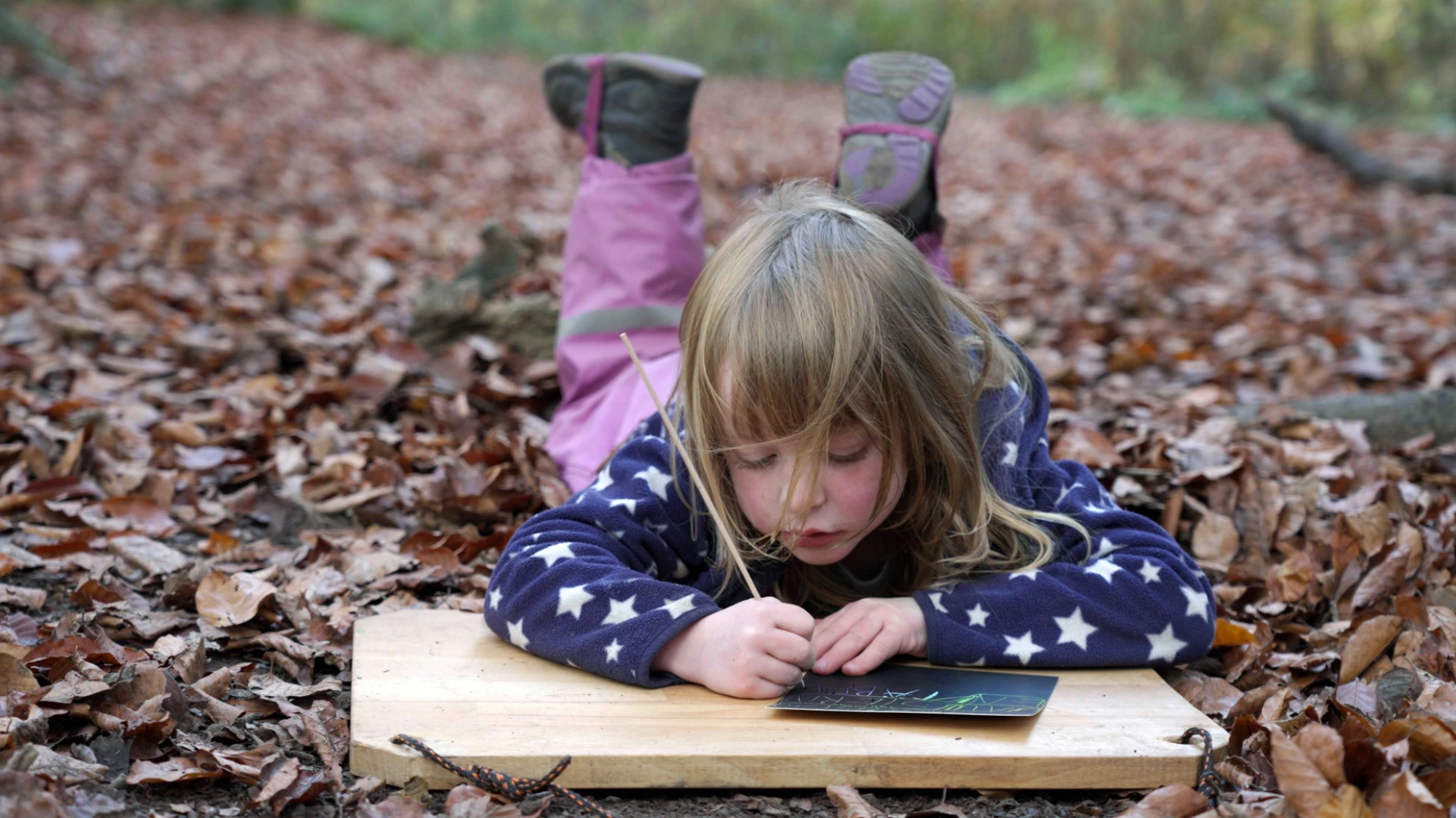 Von Kindern und Bäumen – Ein Jahr in der Waldschule hero banner image placeholder