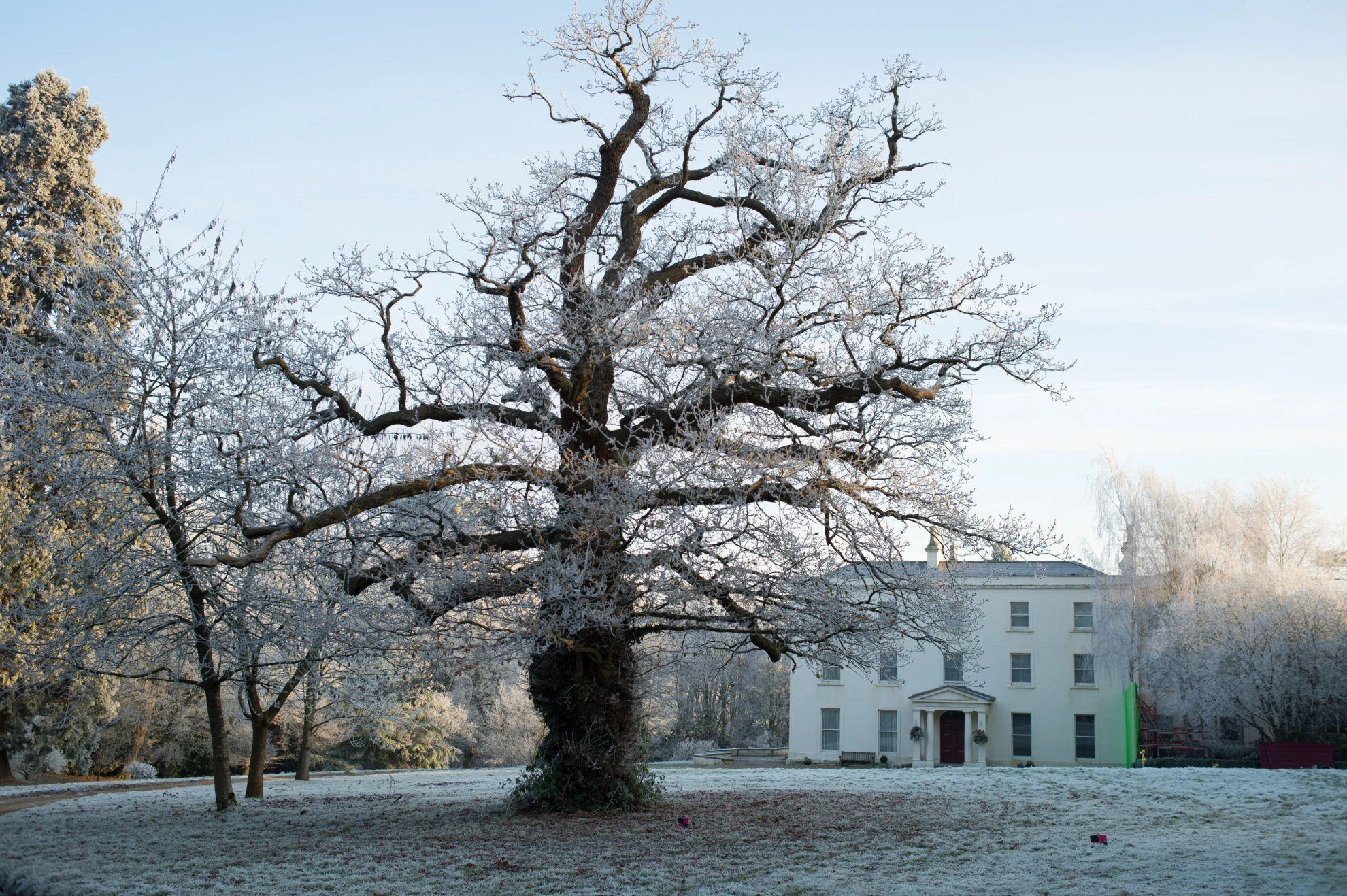 Philomena hero banner image placeholder