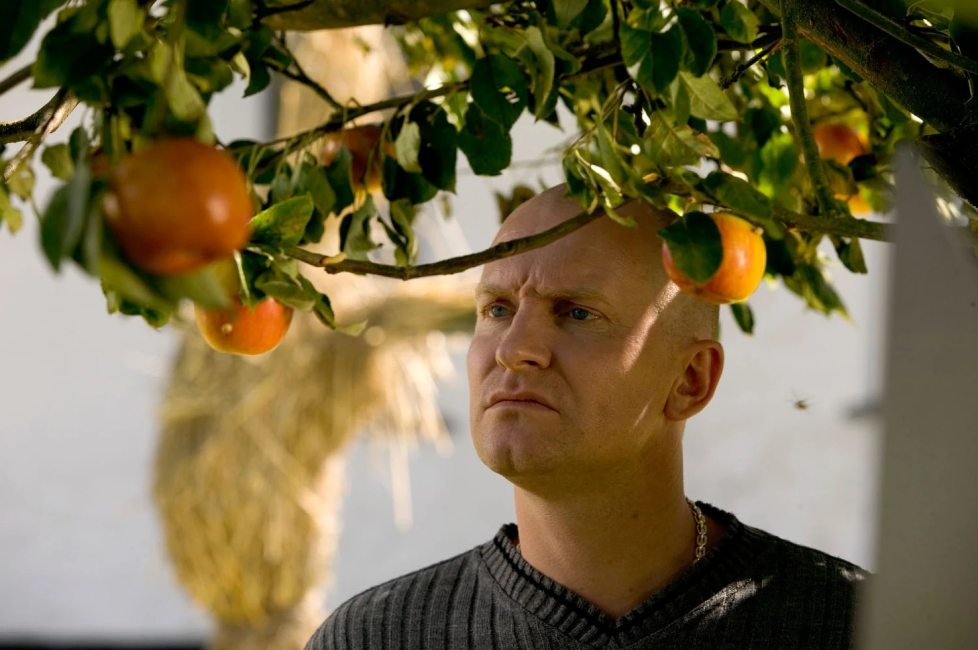 Adam's Apples hero banner image placeholder